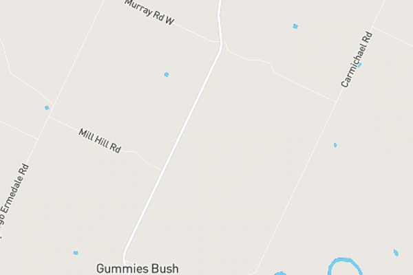 Gummies Bush