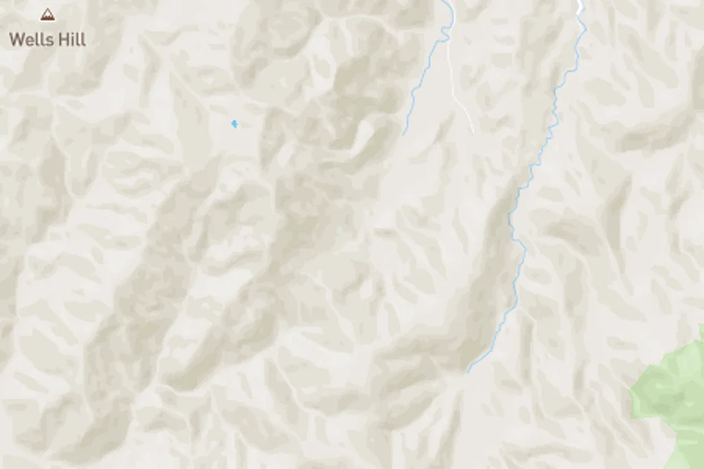 Hira Forest