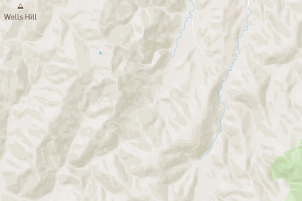 Hira Forest