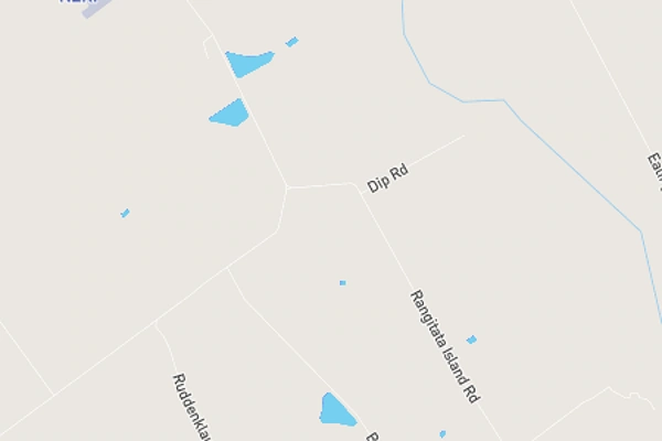 Rangitata Island