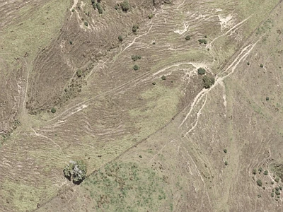Rural  Rural Production Zone