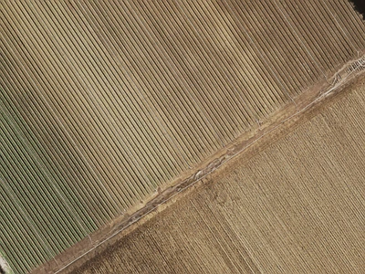 Rural  Rural Production Zone