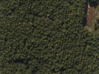 Rural Zone