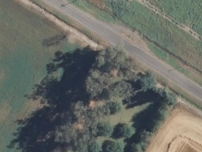 Rural B