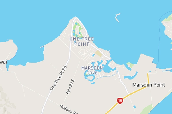 One Tree Point