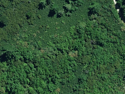Rural Zone