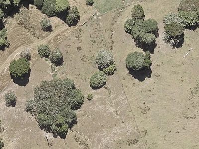 Rural  Rural Production Zone
