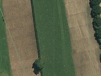 Rural  Rural Production Zone