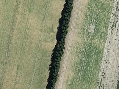 Rural B