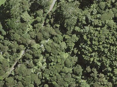 Rural  Waitakere Foothills Zone
