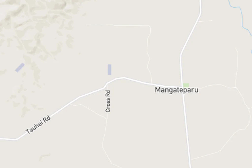 Mangateparu