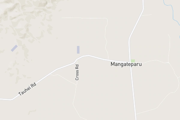 Mangateparu