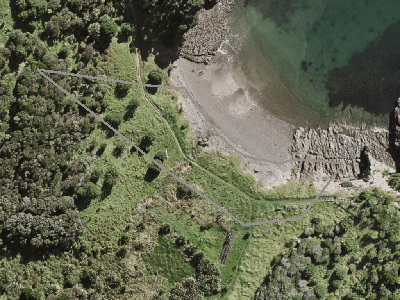 Hauraki Gulf Islands
